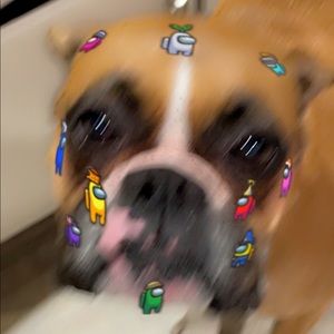 Meet your Posher, Will